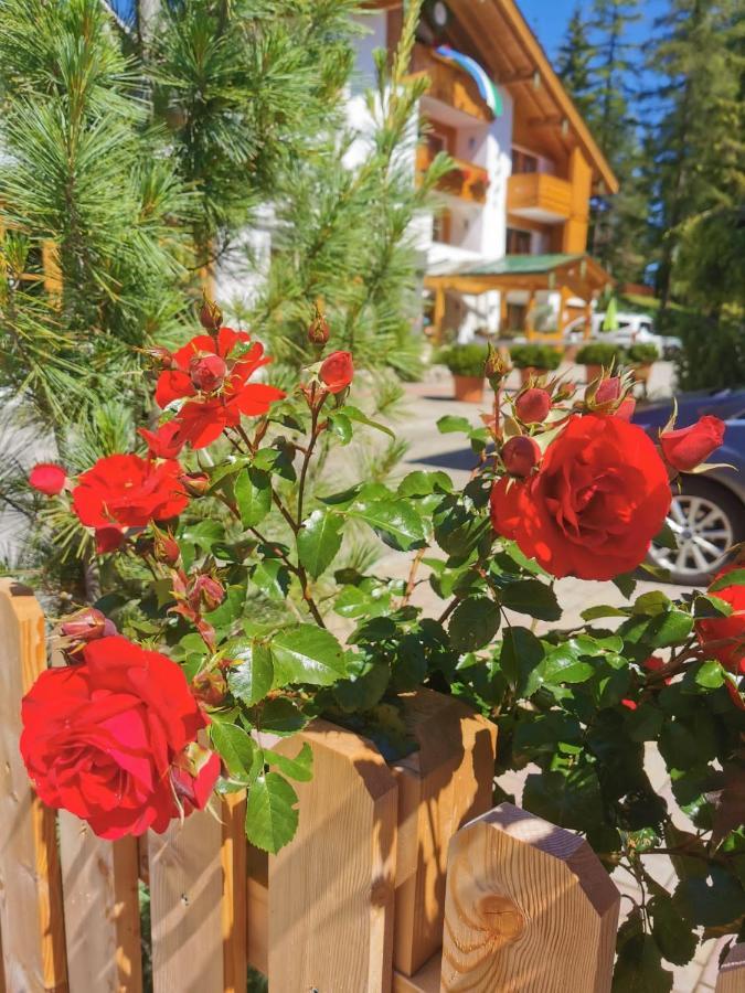 B&B Tamarindo La Villa  Εξωτερικό φωτογραφία